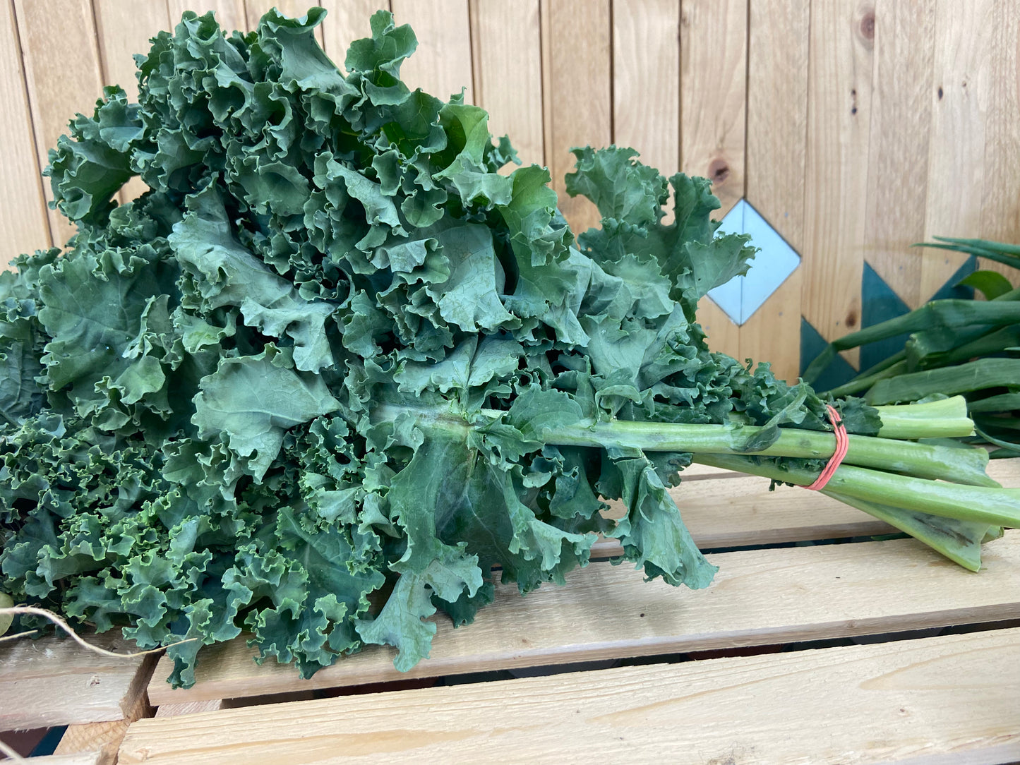 Chou frisé en bouquet (kale) biologique